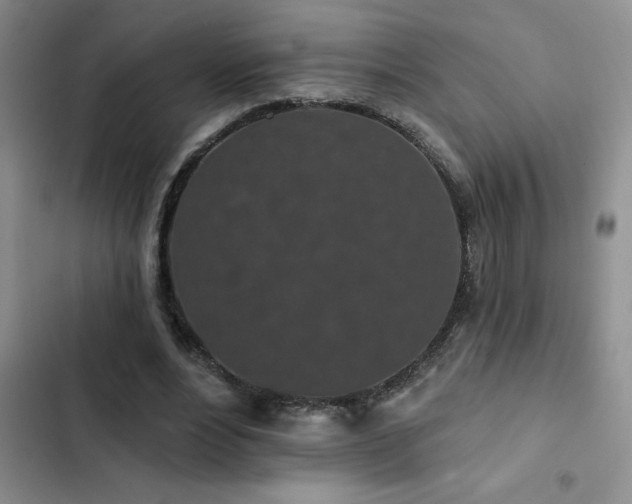 X0000102830488200808181327