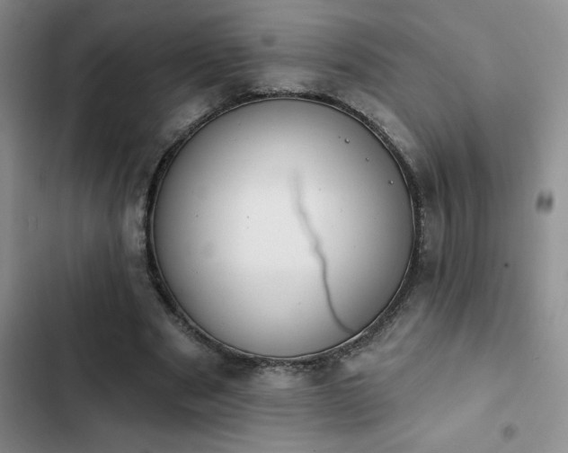 X0000102830489200808181327