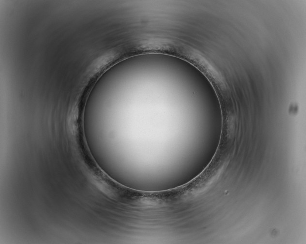 X0000102830490200808181327