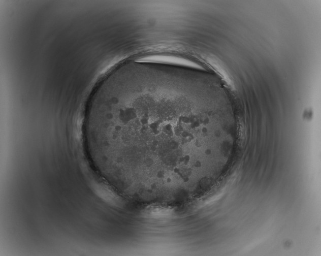 X0000102830491200808181327