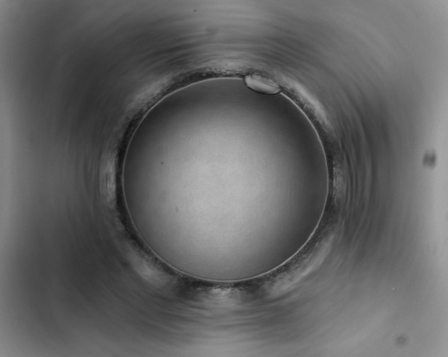 X0000102830493200808181327