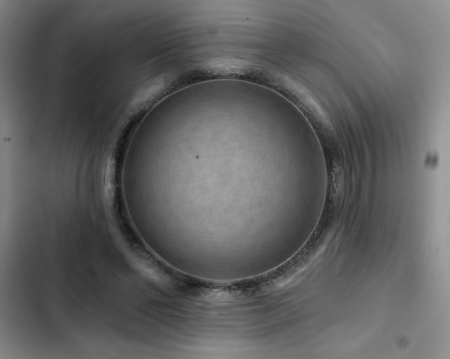 X0000102830494200808181327