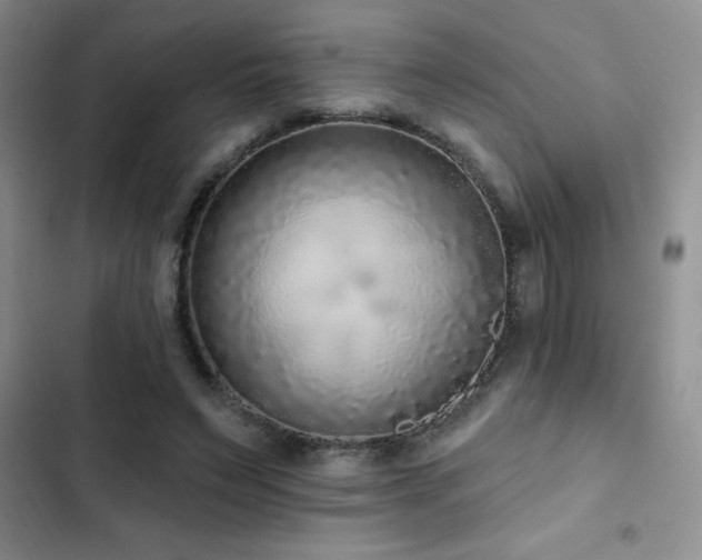 X0000102830495200808181327