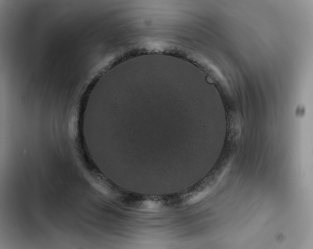 X0000102830496200808181327