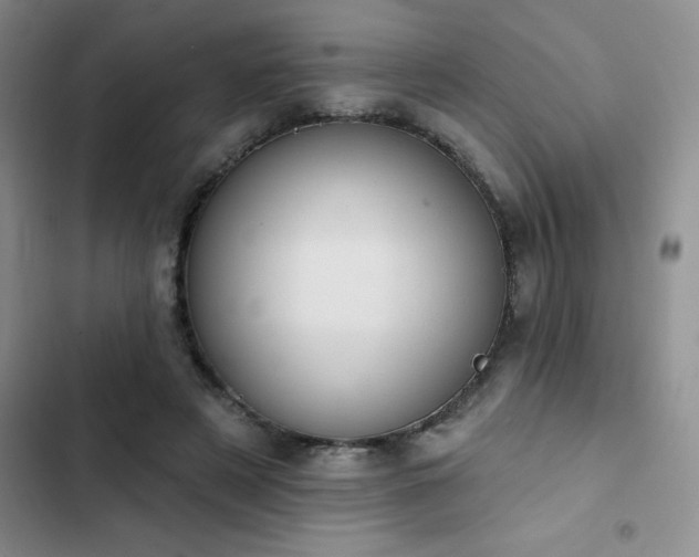 X0000102830497200808181327