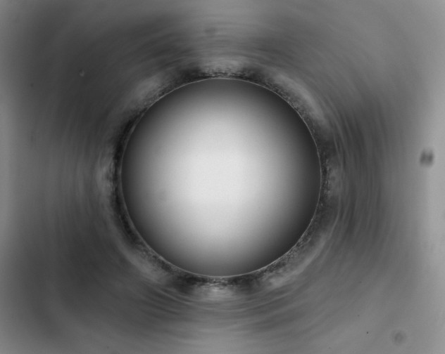 X0000102830498200808181327