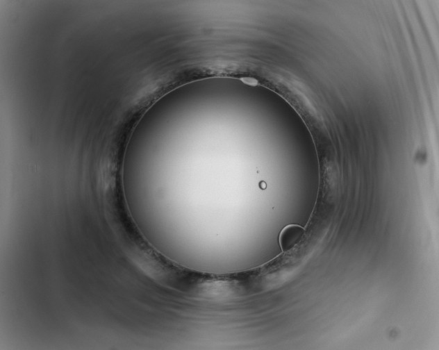 X0000102830499200808181327