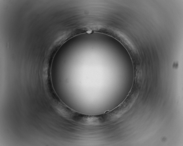 X0000102830501200808181327