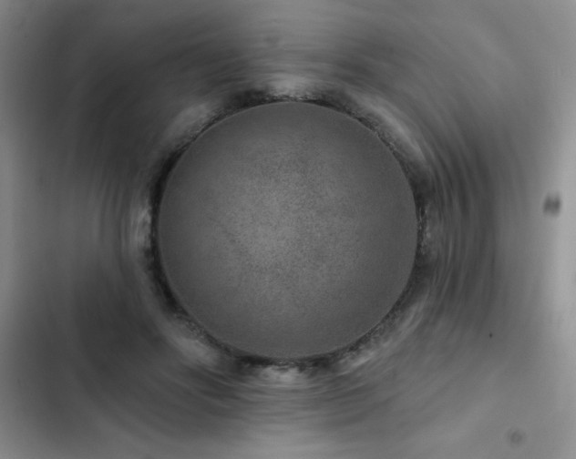 X0000102830502200808181327