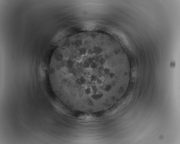 X0000102830503200808181327