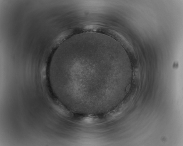 X0000102830504200808181327