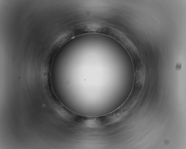 X0000102830505200808181327