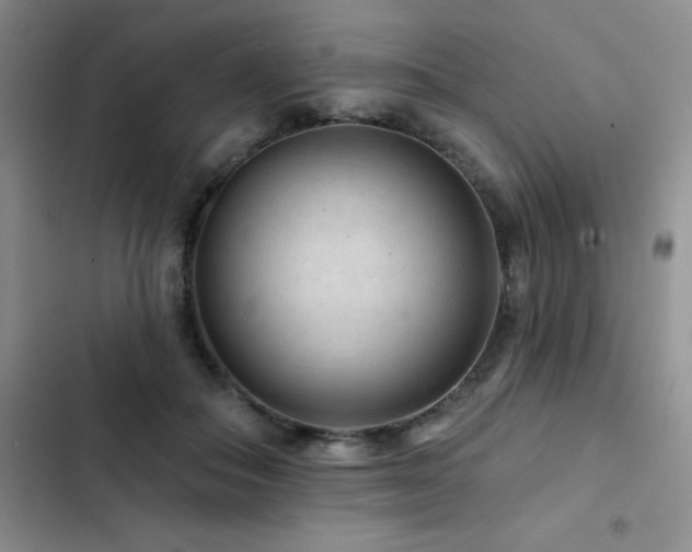 X0000102830506200808181327