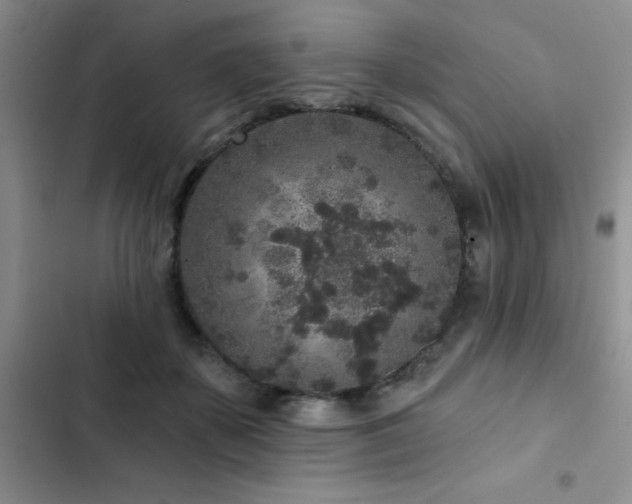 X0000102830507200808181327