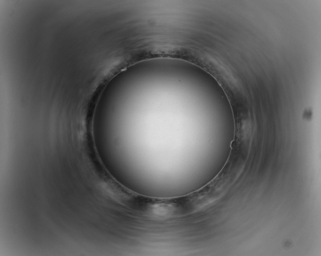 X0000102830508200808181327