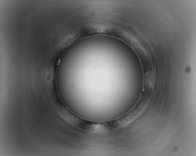 X0000102830509200808181327