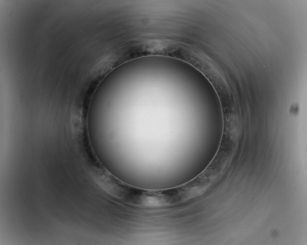 X0000102830510200808181327