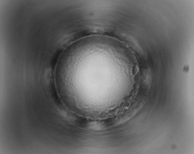 X0000102830511200808181327