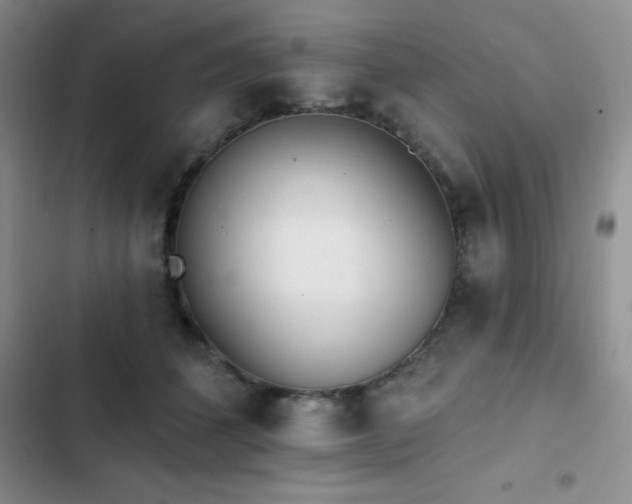 X0000102830512200808181327