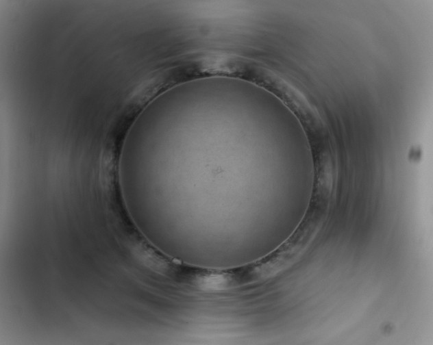 X0000102830513200808181327