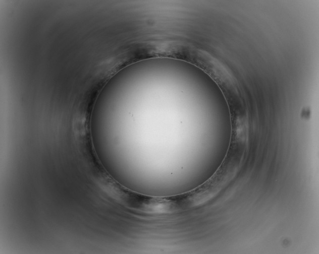 X0000102830514200808181327