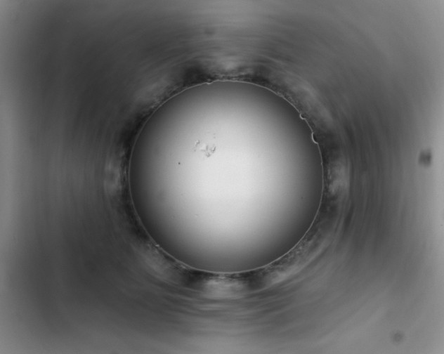 X0000102830515200808181327