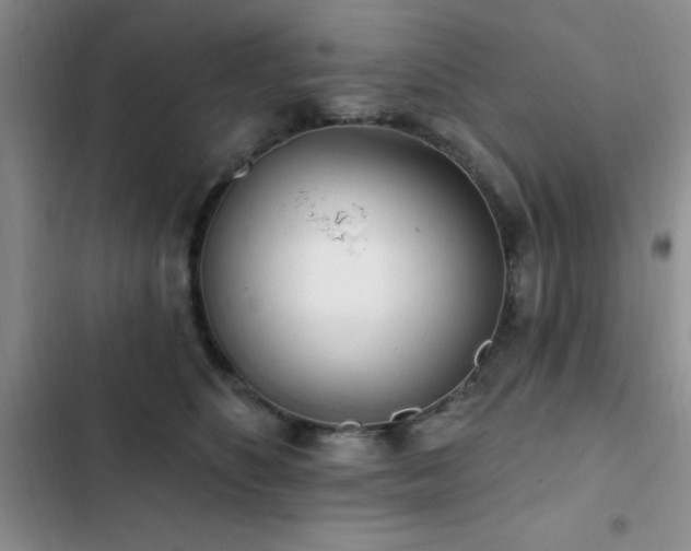 X0000102830516200808181327