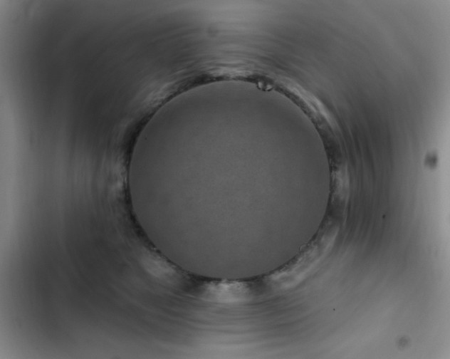 X0000102830517200808181327