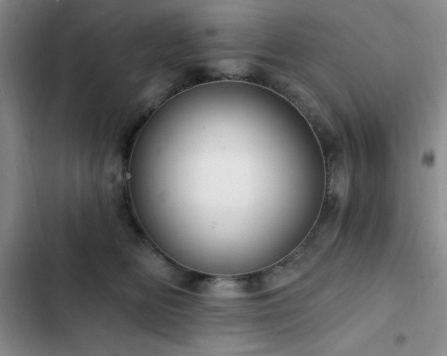 X0000102830518200808181327