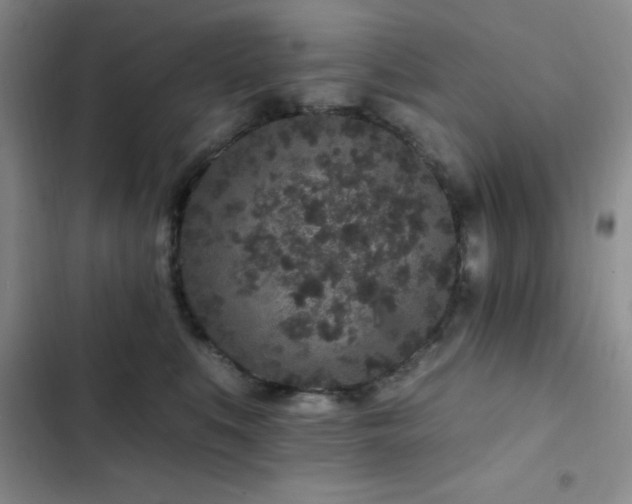 X0000102830519200808181327