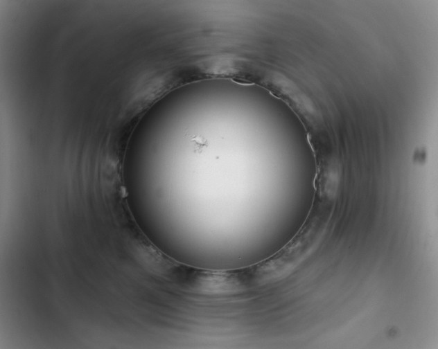 X0000102830521200808181327