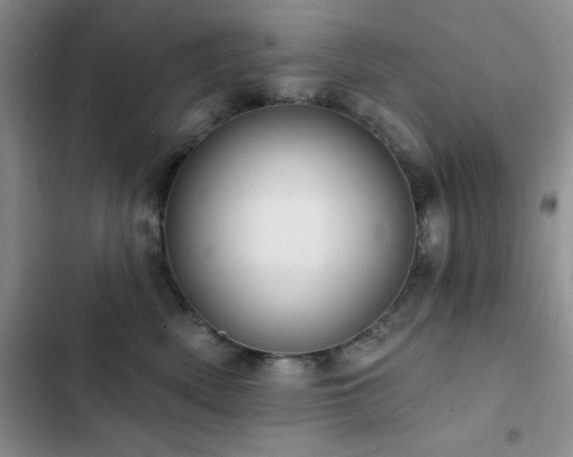 X0000102830522200808181327