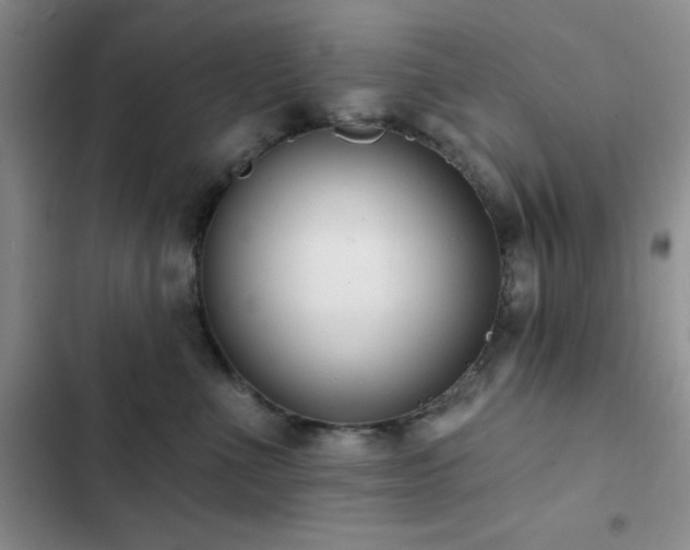 X0000102830523200808181327