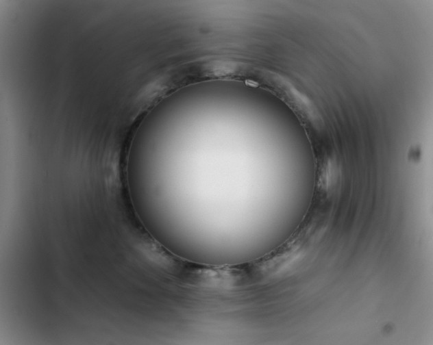 X0000102830524200808181327