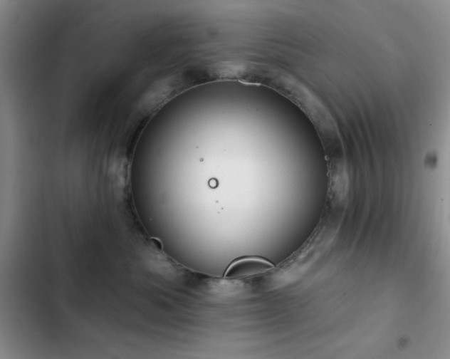 X0000102830525200808181327