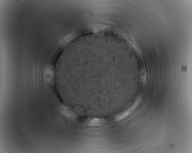 X0000102830527200808181327