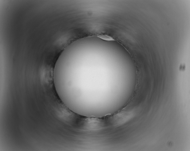 X0000102830528200808181327