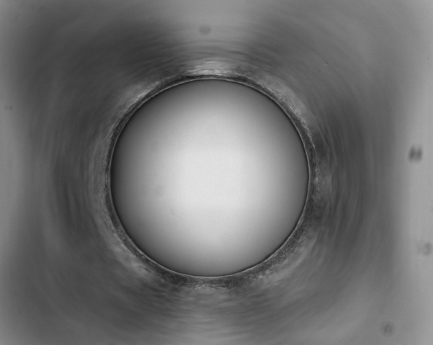 X0000102830529200808181326