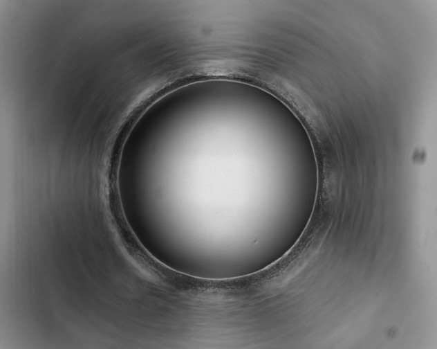 X0000102830530200808181326