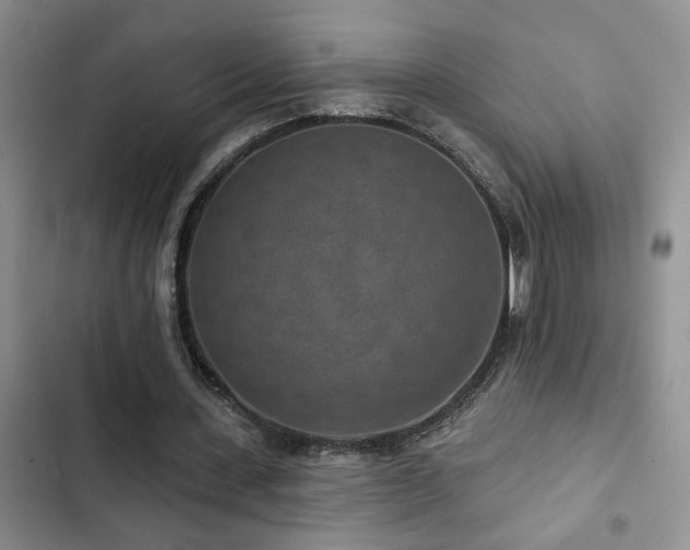 X0000102830531200808181326