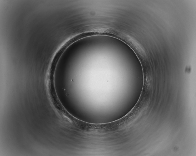 X0000102830532200808181326