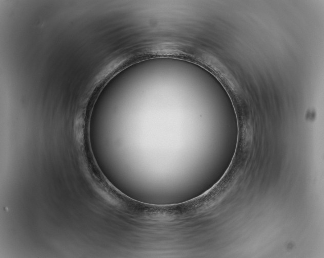 X0000102830533200808181326