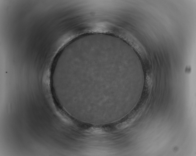 X0000102830534200808181326