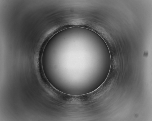 X0000102830535200808181326