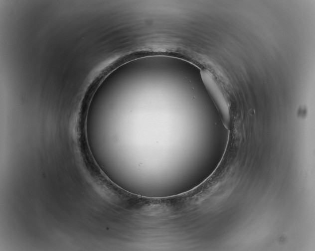 X0000102830536200808181326