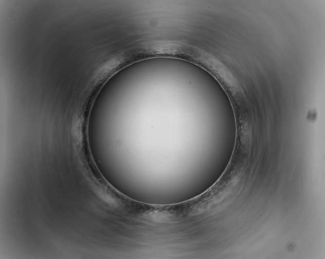 X0000102830537200808181326