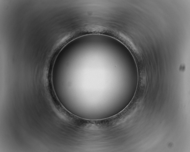 X0000102830538200808181326