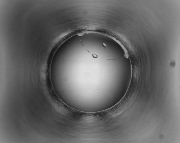 X0000102830540200808181326