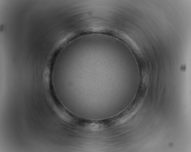 X0000102830542200808181326