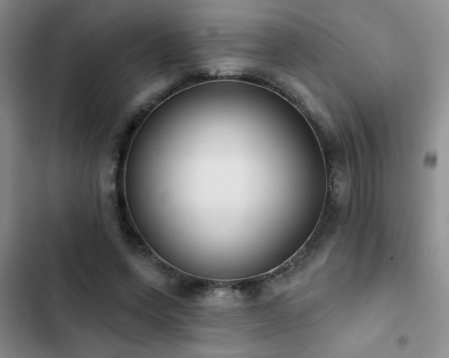 X0000102830543200808181326